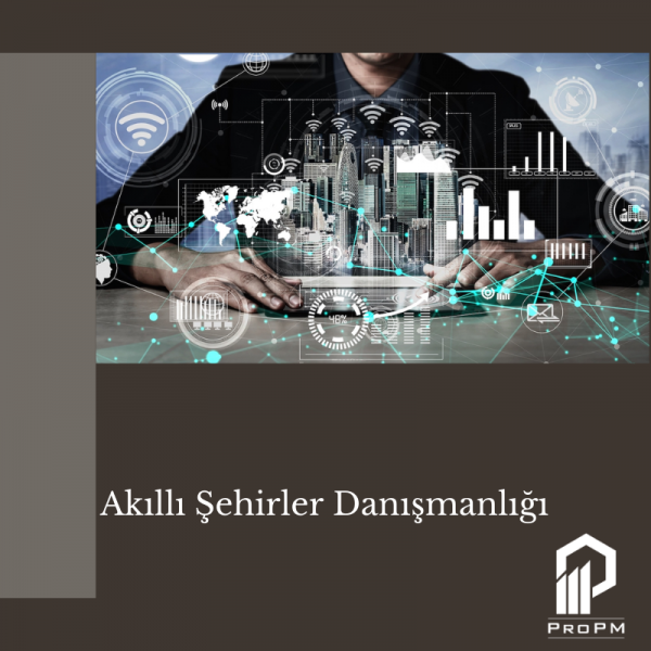 Akıllı Şehirler Danışmanlığı