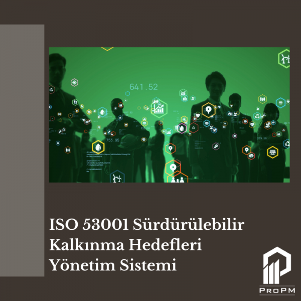 ISO 53001 Sürdürülebilir Kalkınma Hedefleri Yönetim Sistemi