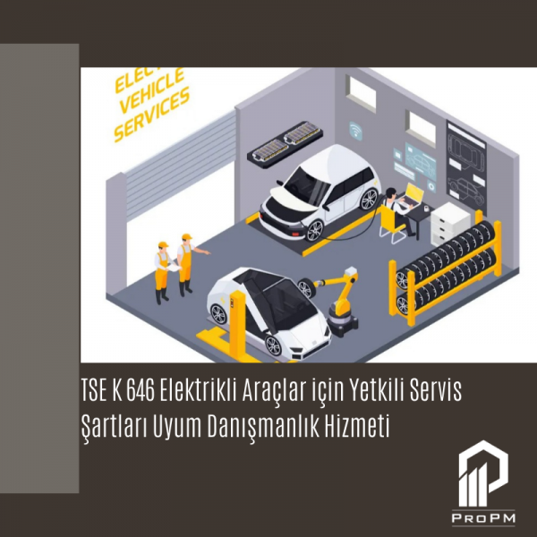 TSE K 646 Elektrikli Araçlar için Yetkili Servis Şartları Uyum Danışmanlık Hizmeti