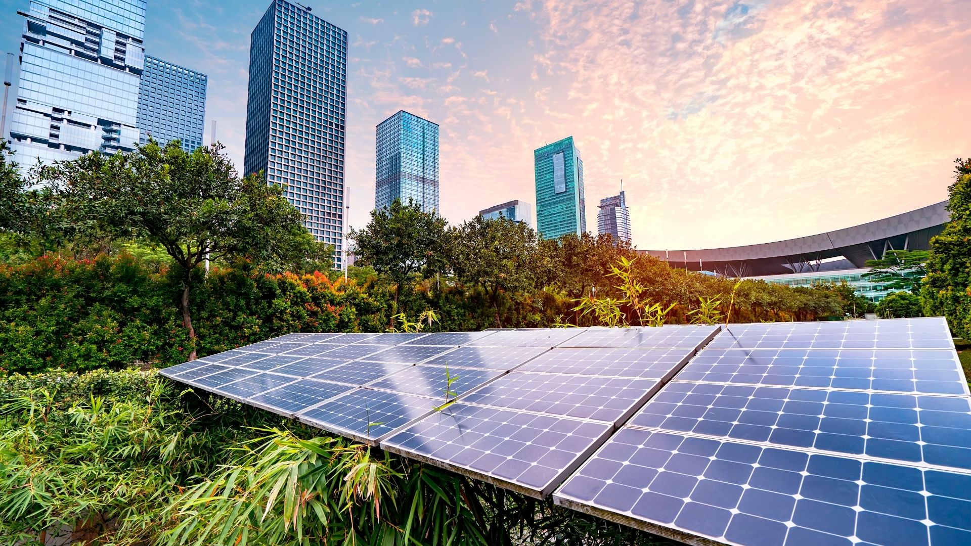 Sustainability Services