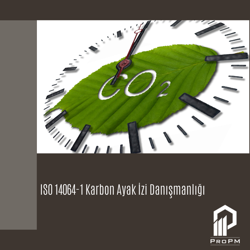 ISO 14064-1 Karbon Ayak İzi 1