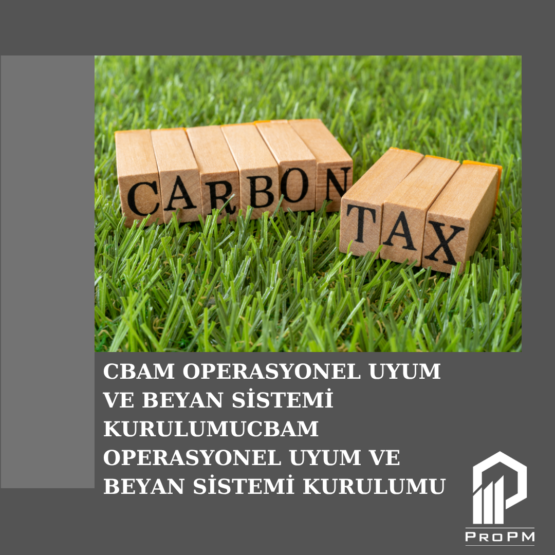 CBAM Operasyonel Uyum ve Beyan Sistemi Kurulumu 1